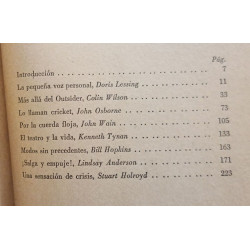Manifiesto de los jóvenes iracundos