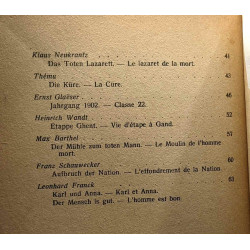A L'ombre de Remarque - la guerre dans la littérature allemande...