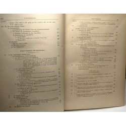 Neuhochdeutsche grammatik - Erste hälfte einleitung...
