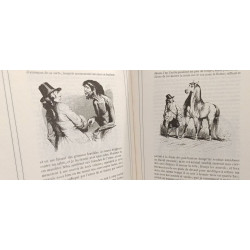 Voyages de Gulliver dans des contrees lointaines - Collection Les...