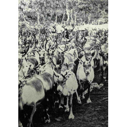 Bergit et Andaras