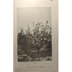 Pomologie nouvelle