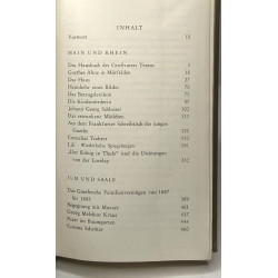 Essays um goethe