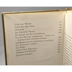Essays um goethe