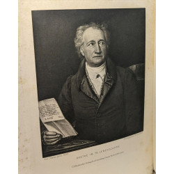 Goethe. Sein Leben und seine Werke. In zwei Bänden