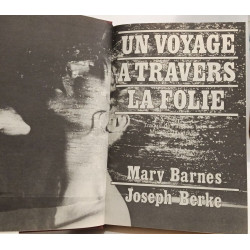 Mary Barnes un voyage à travers la folie