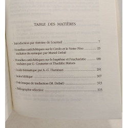 Homelies catechetiques