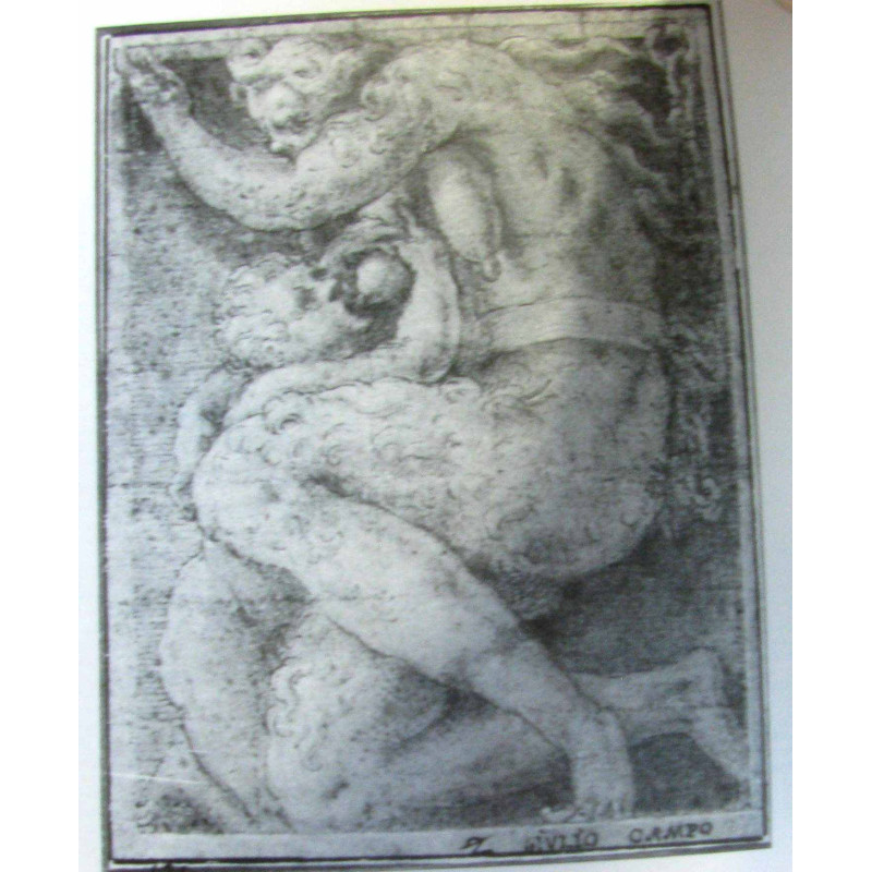 L'art maniériste Formes et symboles 1520-1620