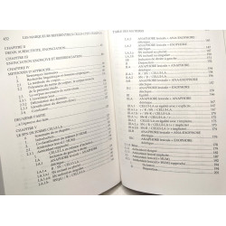 Les marqueurs référentiels celui-ci et celui-là