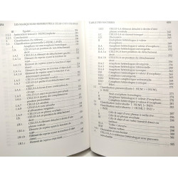 Les marqueurs référentiels celui-ci et celui-là