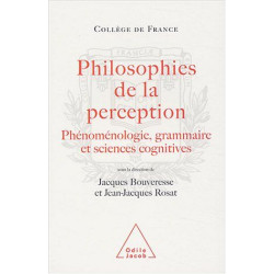 Philosophies de la perception : Phénoménologie grammaire et...