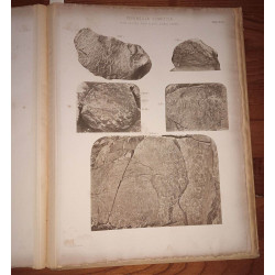 Corpus inscriptionum semiticarum ab academia inscriptionum et...