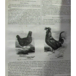 La gazette du village journal illustré: 7eme 8eme 9eme année