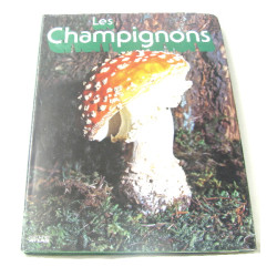Les champignons