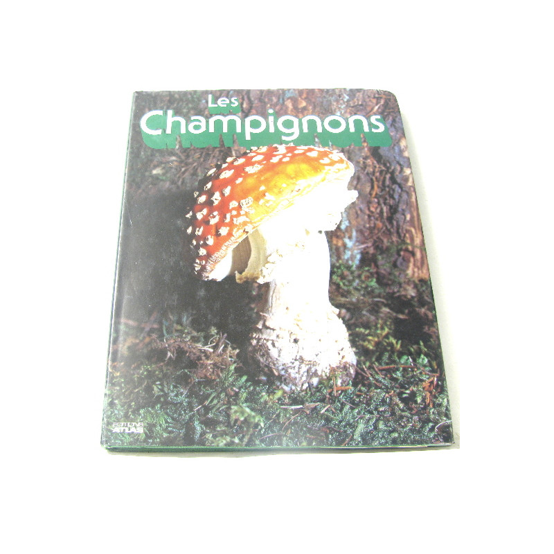 Les champignons