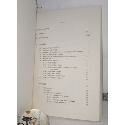 Bukusu. Generative phonology and aspects of Bantu-Structure