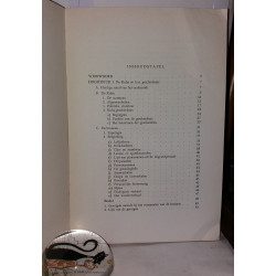 Geschiedenis van de Kuba van ongeveer 1500 tot 1904