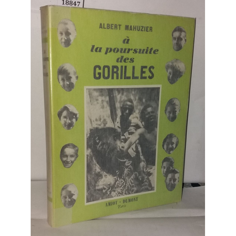 À la poursuite des gorilles