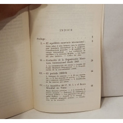 La crisis monetaria internacional
