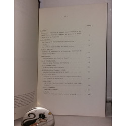 Africana Linguistica X
