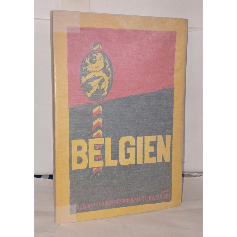 Belgien, neun Abhandlungen der Sammlung "Der Kampf um Belgien"