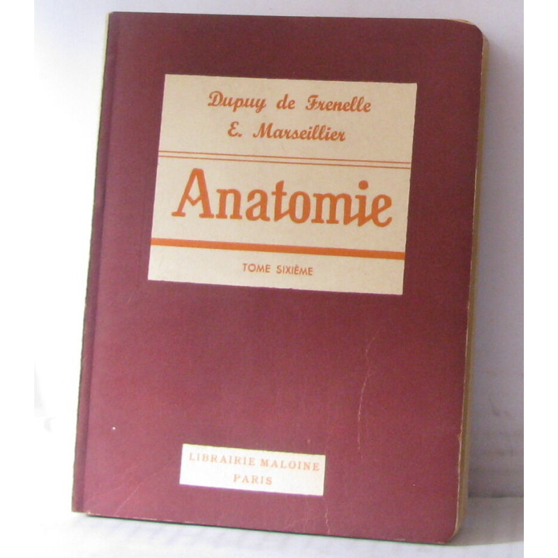 Precis d'anatomie descriptive et regionale Tome 6