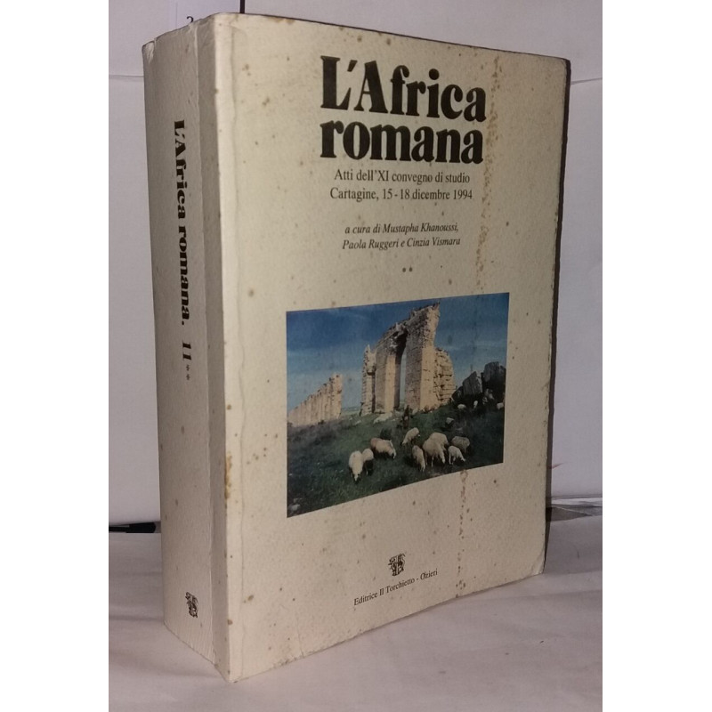 L'Africa Romana : Atti dell'XI convegno di studio Cartagine 15-18...
