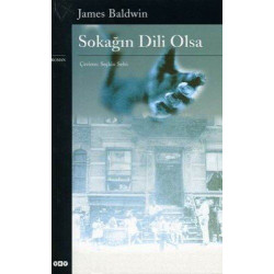 Bob dylan biograph