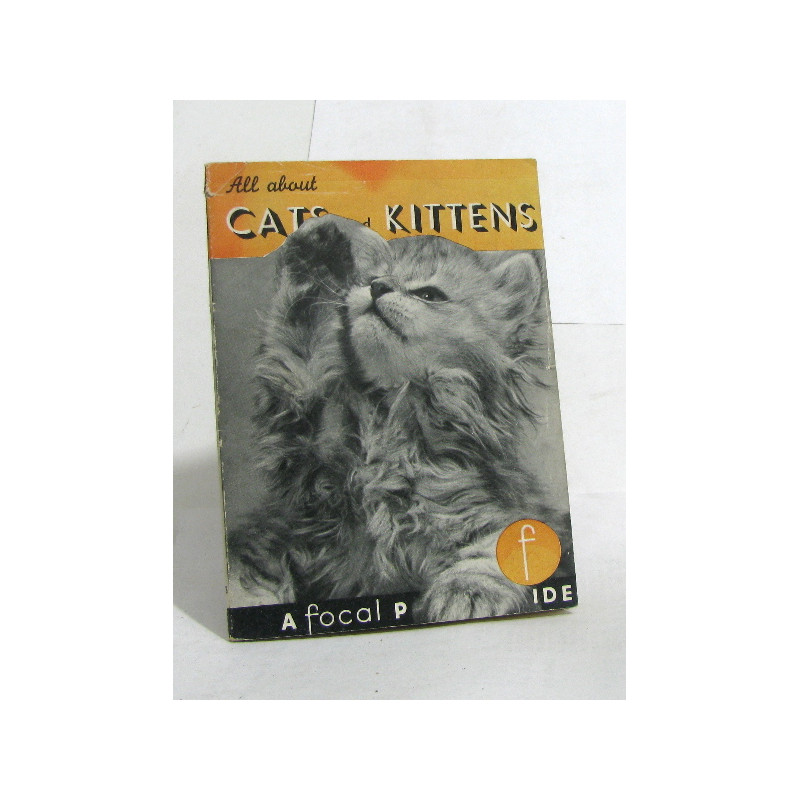 All about cats and kittens and your camera