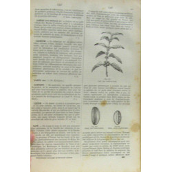 Dictionnaire populaire de médecine usuelle d'hygiène publique et...