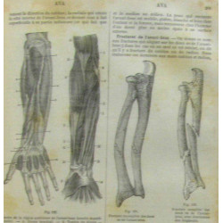 Dictionnaire populaire de médecine usuelle d'hygiène publique et...