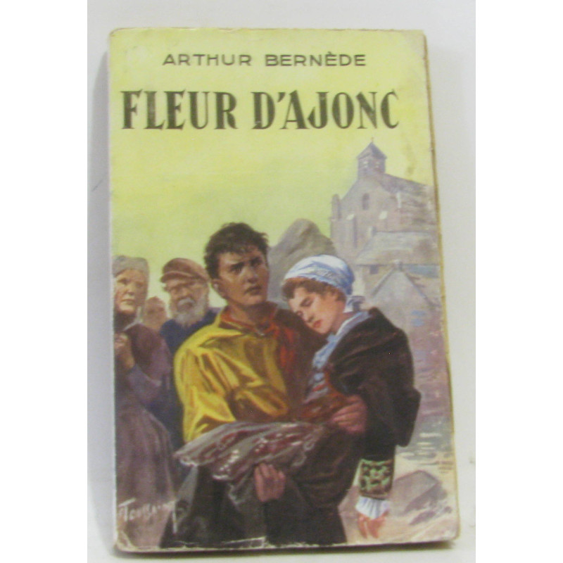 Fleur d'ajonc