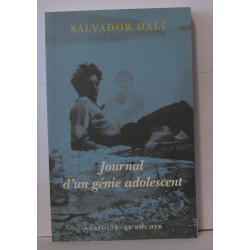 Journal d'un génie adolescent