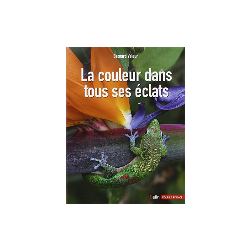 La couleur dans tous ses éclats