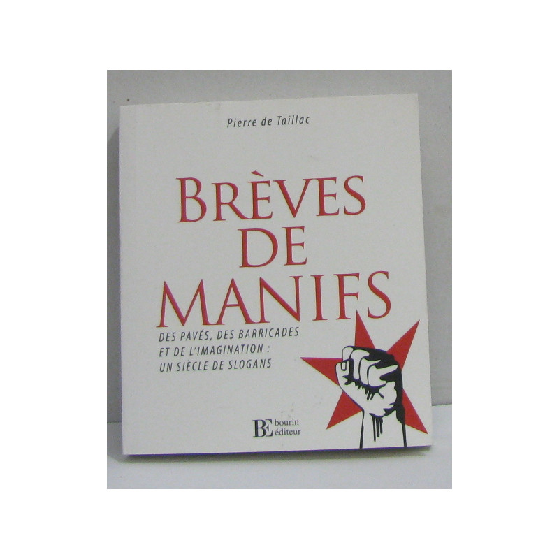 Brèves de manifs - Des pavés de