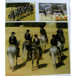 Leur passion le cheval