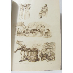 La vigne et le vin