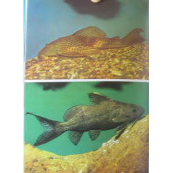 Guide des poissons et de l'aquarium tropical