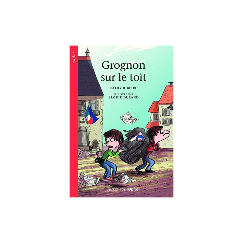 Grognon sur le toit