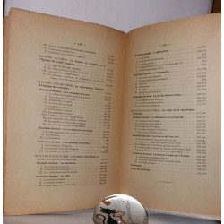 Société et institutions du moyen age