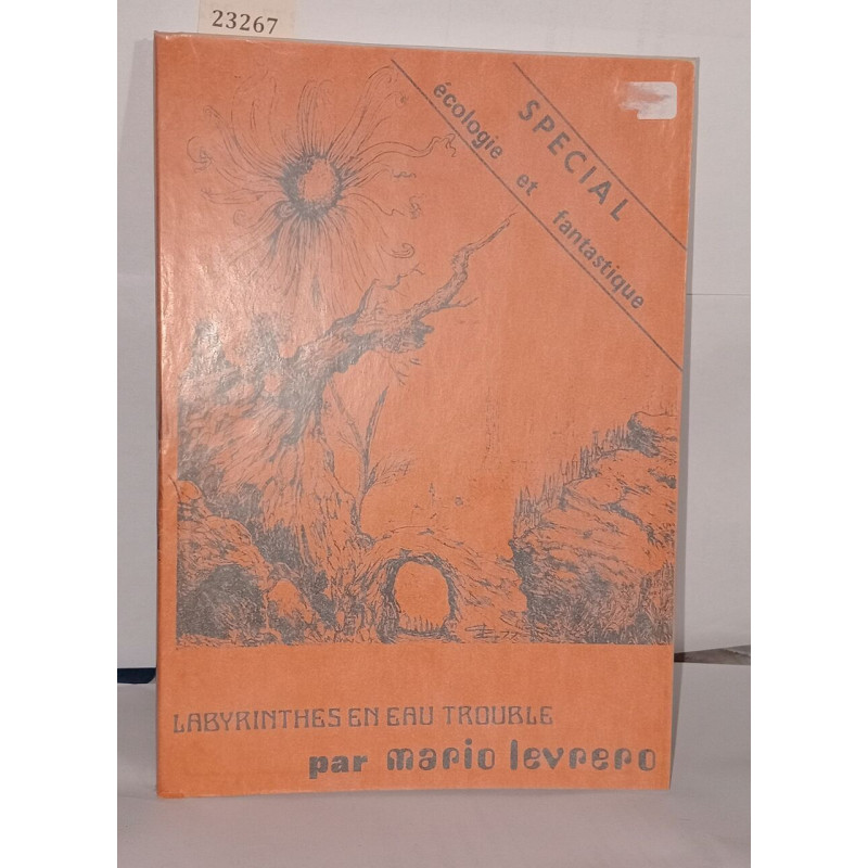 Labyrinthes en eaux troubles