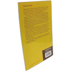 Audrey Bely:: A Critical Study of the Novels (Cambridge Studies in...