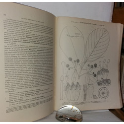 La Flore forestière de la côte d'Ivoire [3 volumes complets]