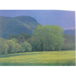 Balades sauvages du Limousin au Périgord (Collection Giroflée)