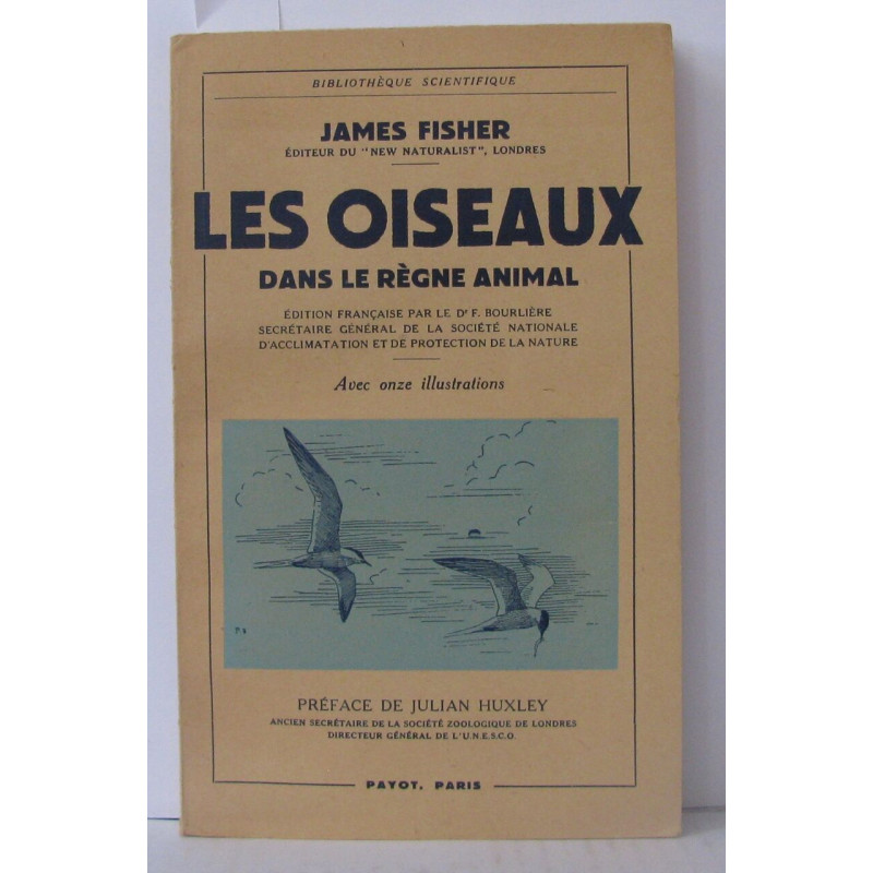 Les oiseaux dans le règne animal