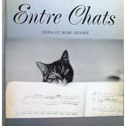 Entre chats