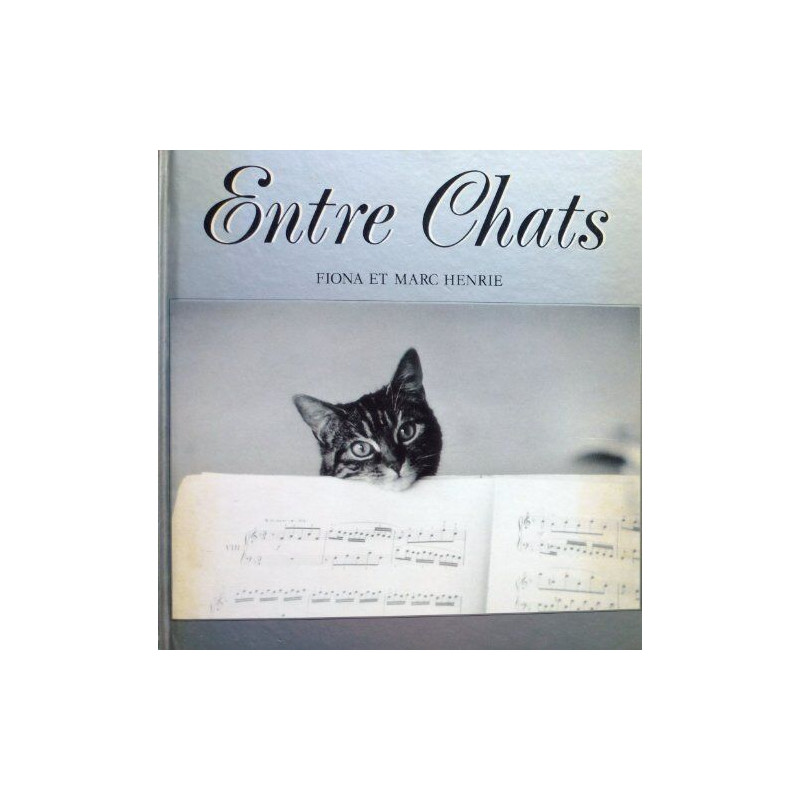 Entre chats