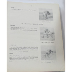 Manuel du moniteur de sports de combat