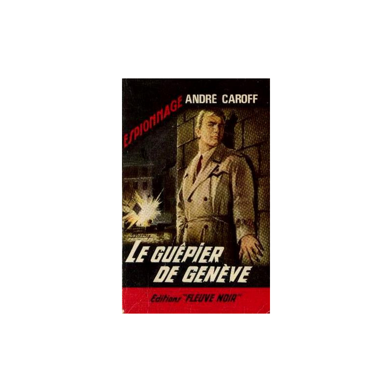 Le guêpier de Genève