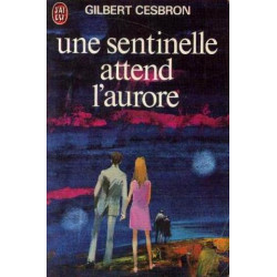 Une sentinelle attend l'aurore